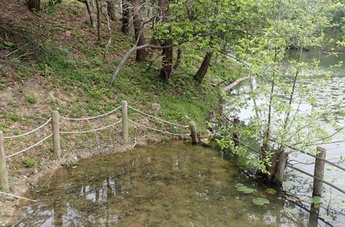 観察湿地
