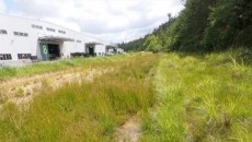 New wetlands