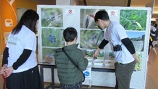 企画展示(琵琶湖博物館)の様子